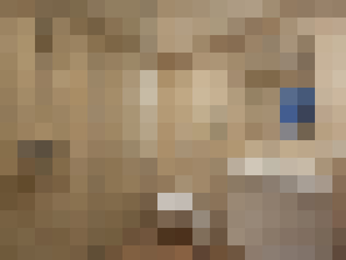  / #11