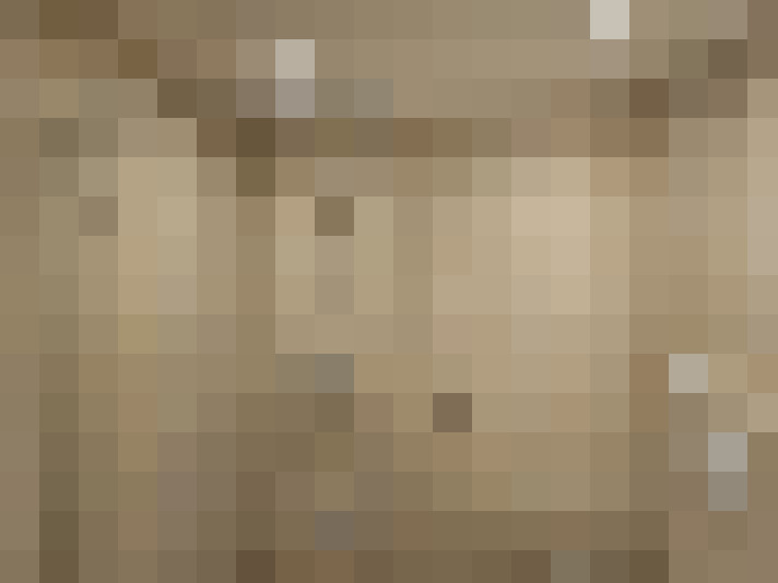  / #12