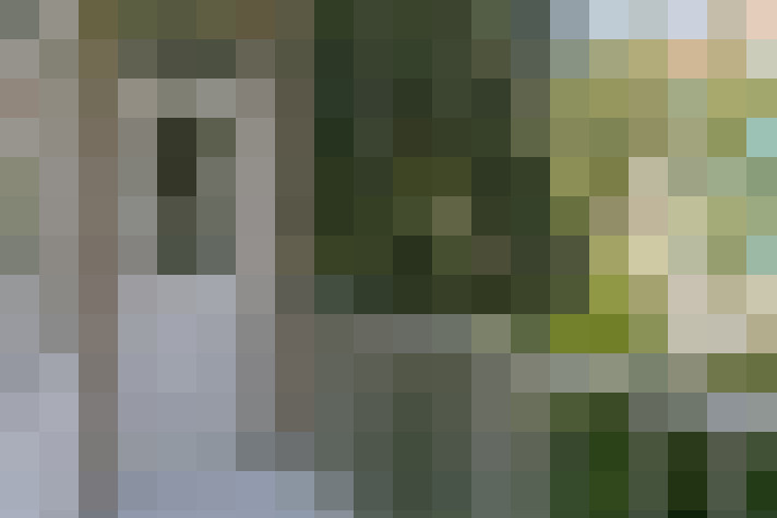  / #15