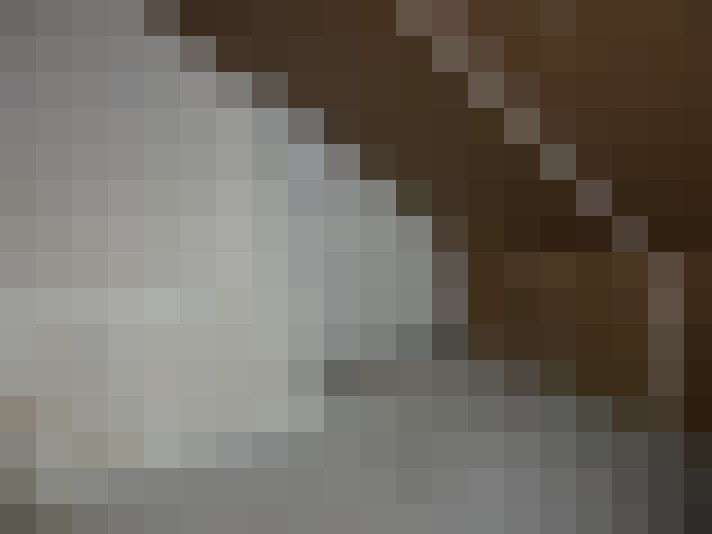  / #19