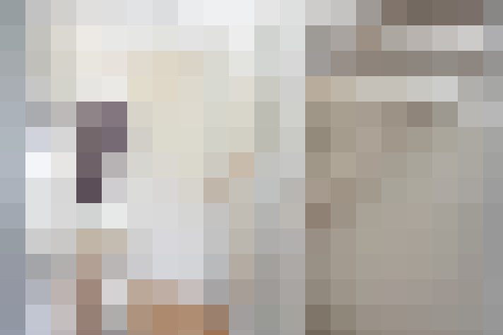  / #20