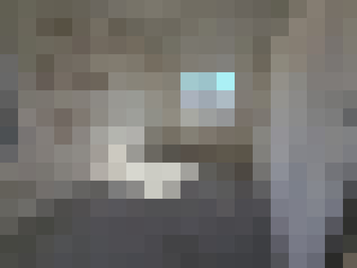  / #8