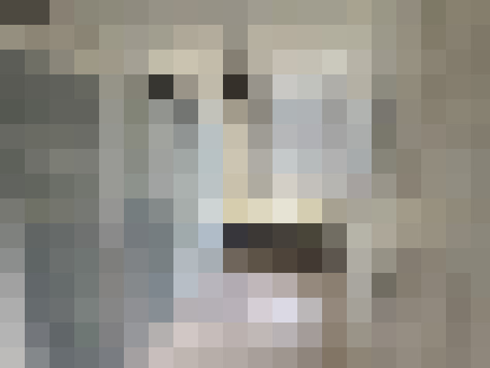  / #21