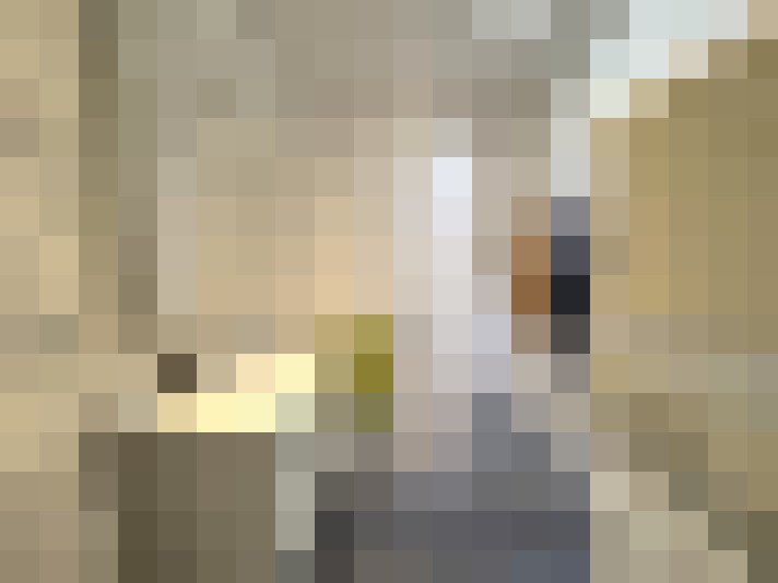  / #16