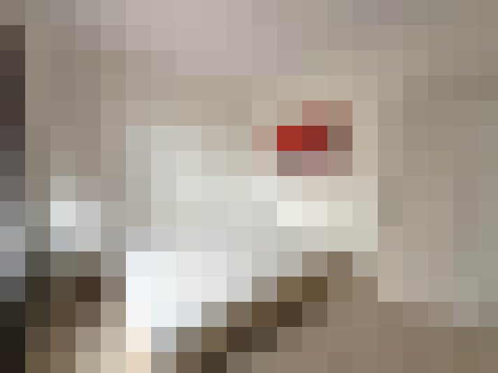  / #14