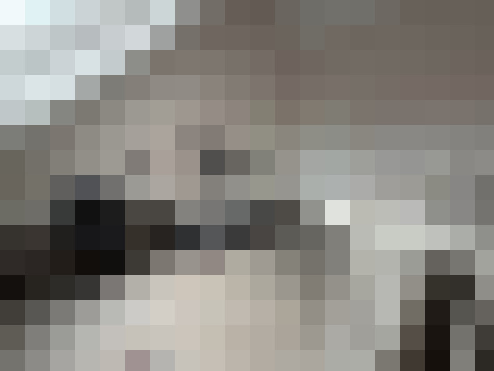  / #23