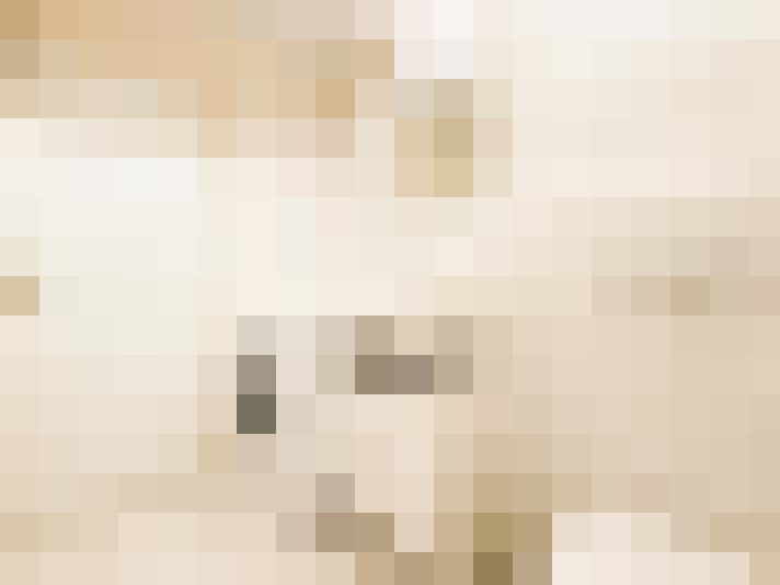  / #19