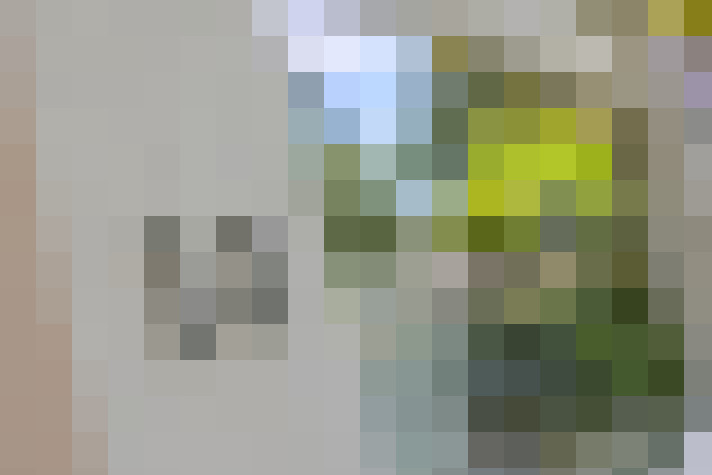  / #9