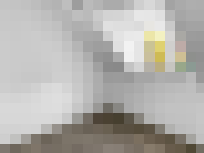  / #18