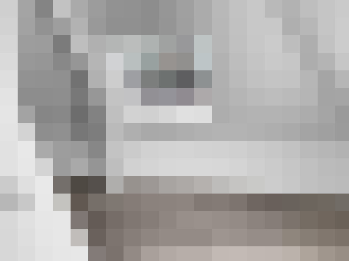  / #19