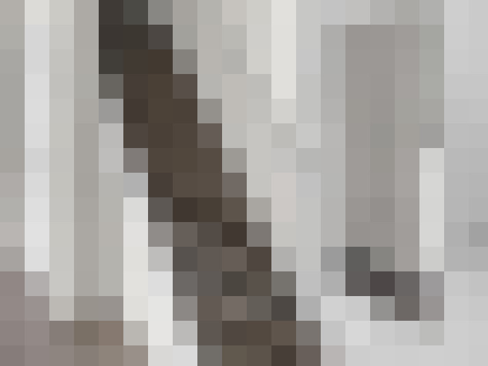  / #15