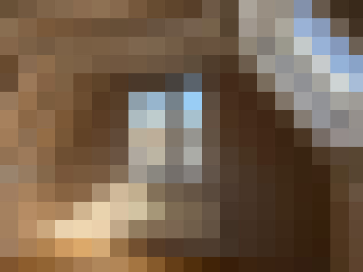  / #21