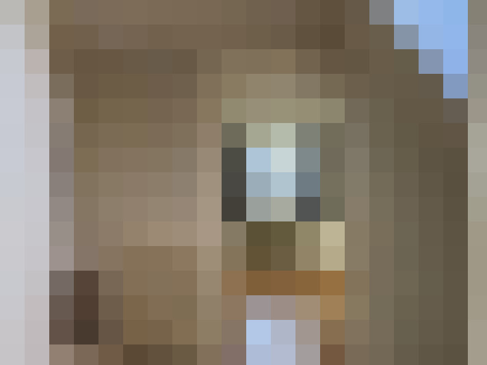  / #24