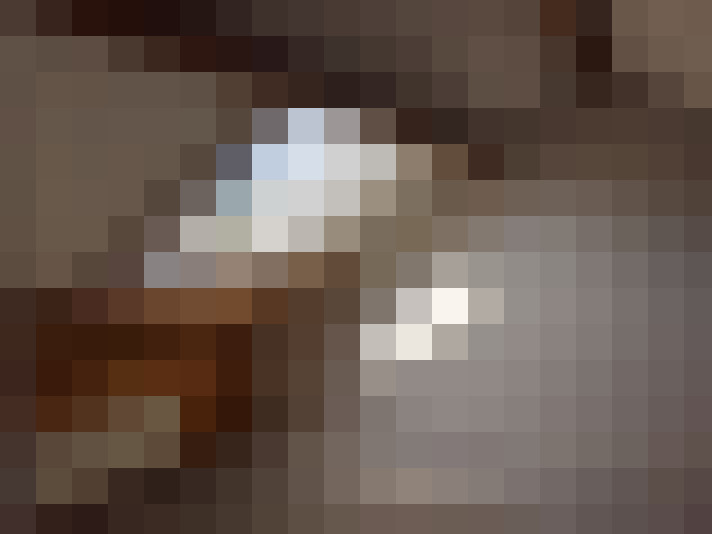 Image 14