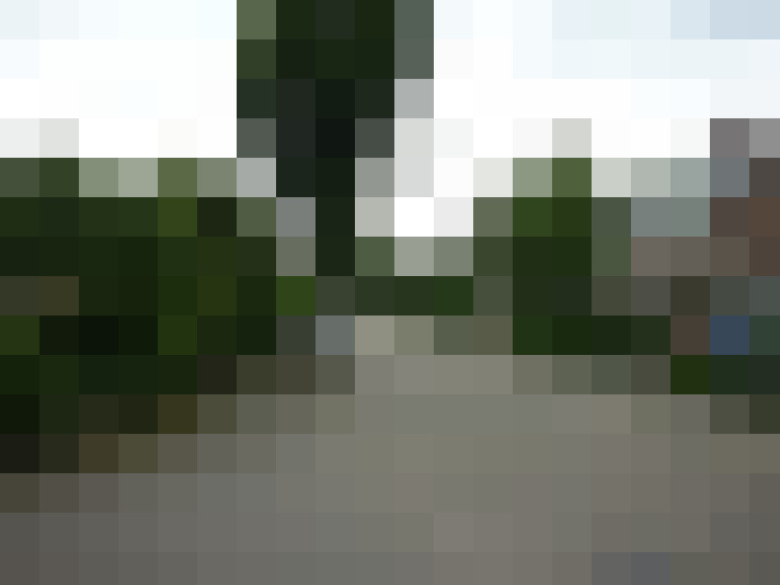 Image 17