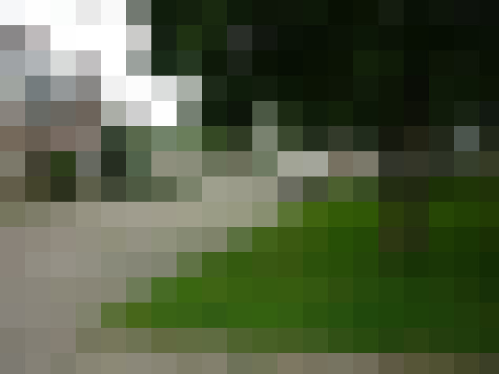 Image 16