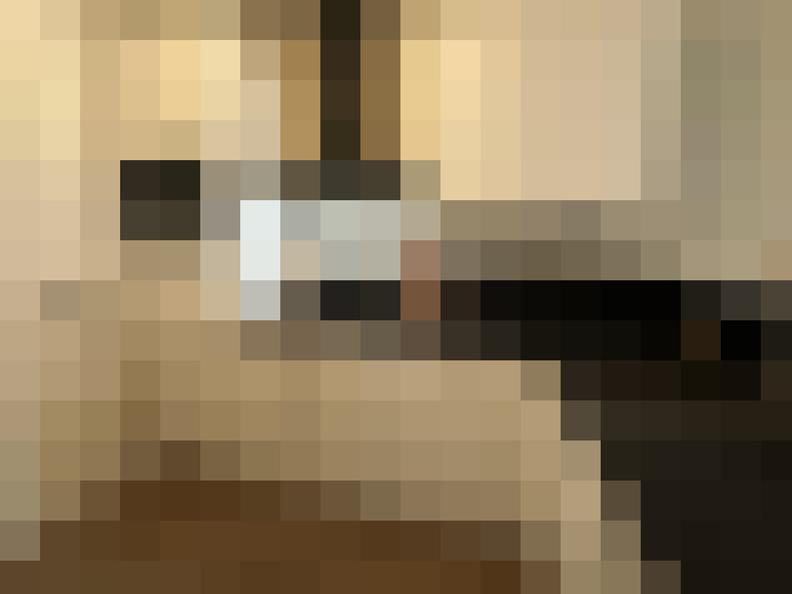  / #15