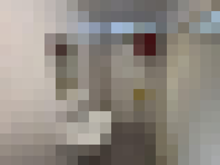  / #12