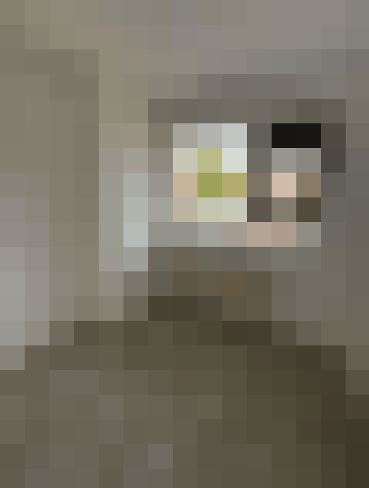  / #8