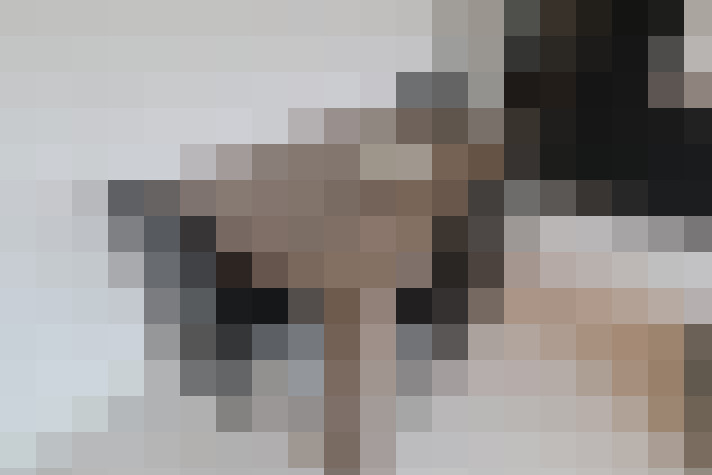  / #17