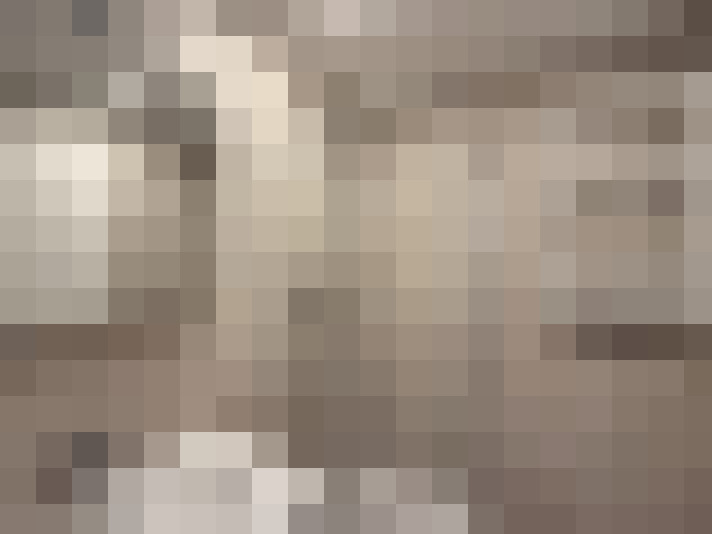  / #15