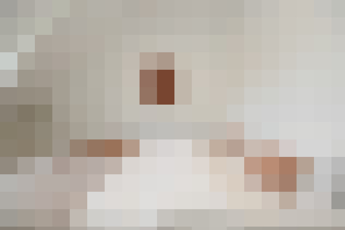  / #21