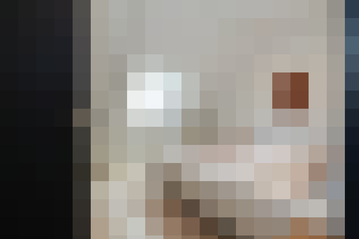  / #20