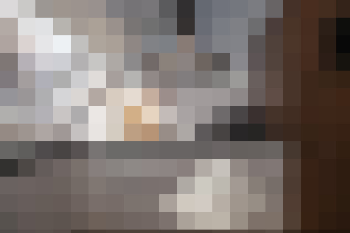  / #17