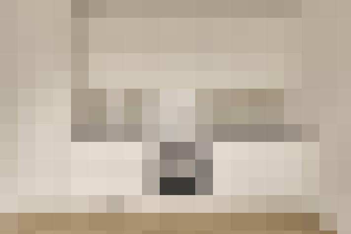  / #11