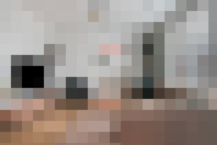  / #8