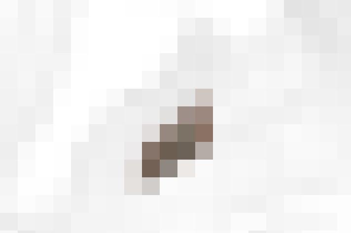  / #20