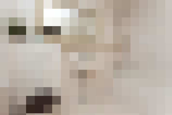  / #22
