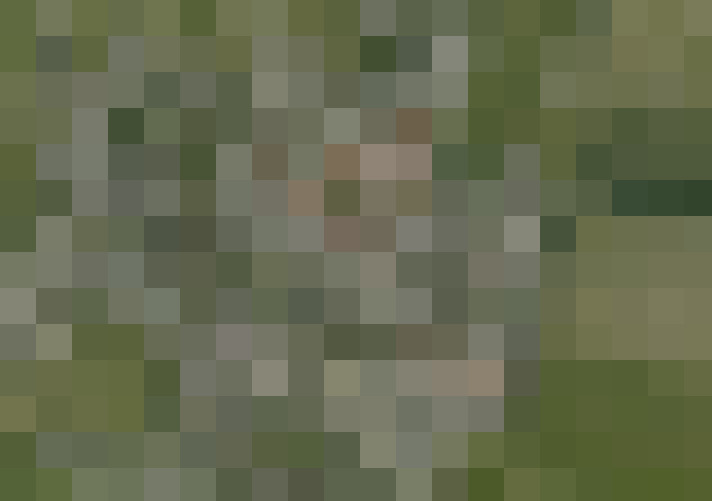  / #13