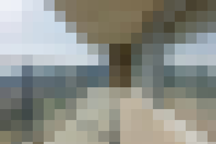  / #15