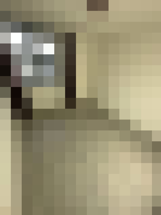  / #12