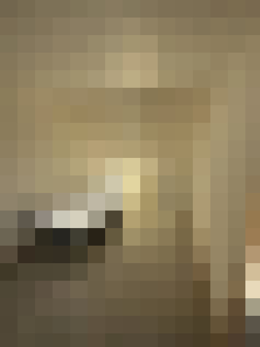  / #19