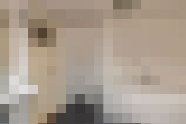  / #20