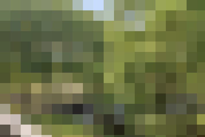  / #18
