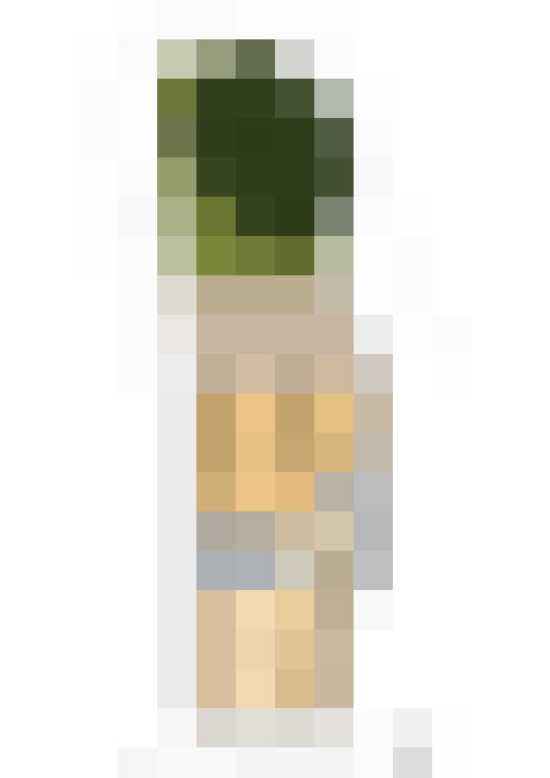  / #24