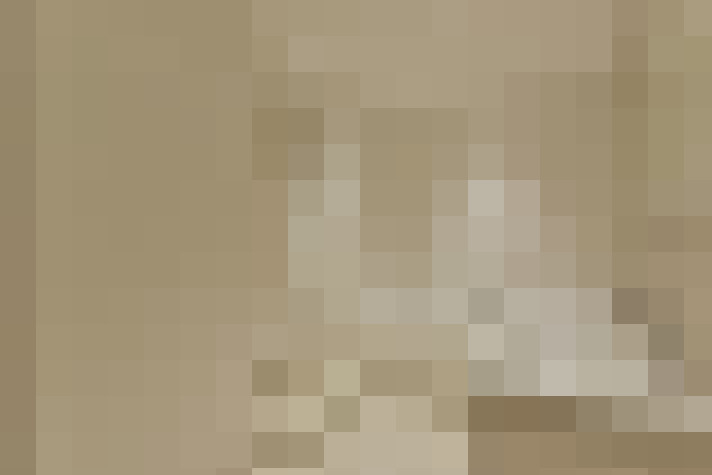  / #11