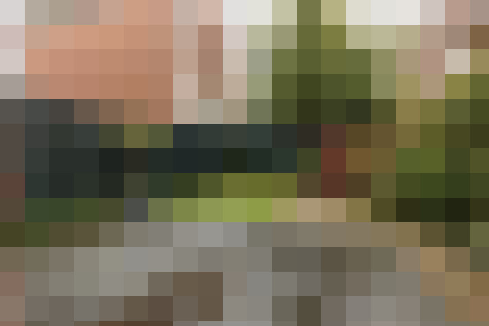  / #17