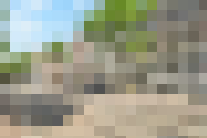  / #20