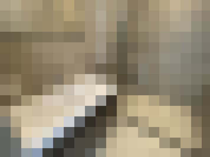  / #8