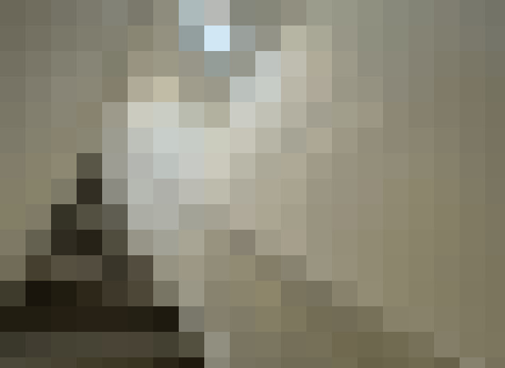  / #15