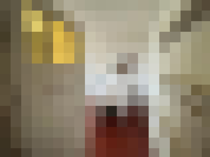  / #19