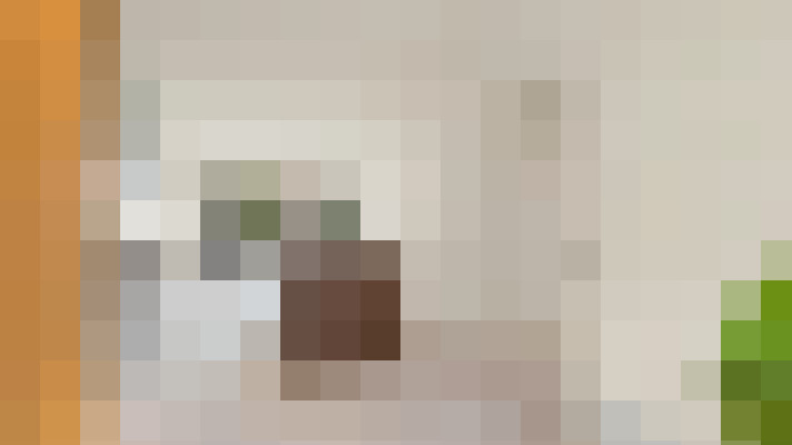  / #21