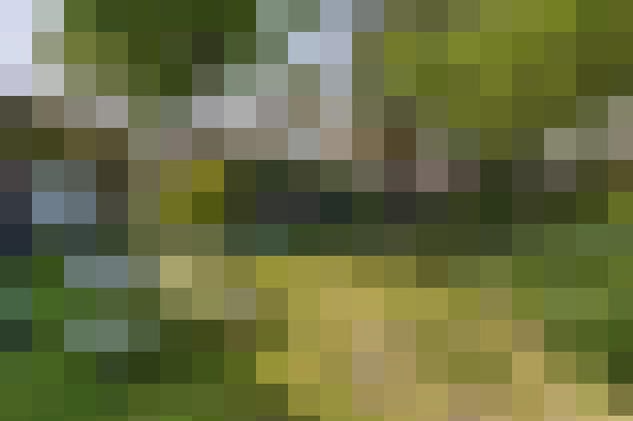  / #16
