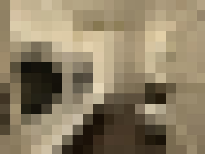  / #15