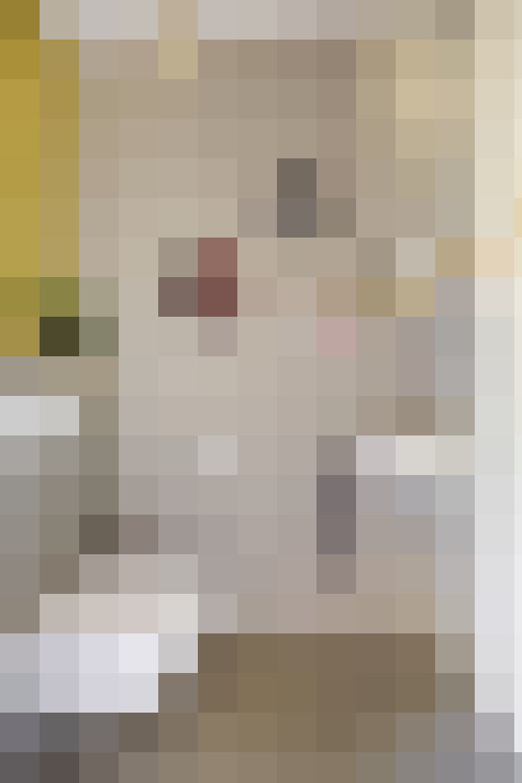  / #26