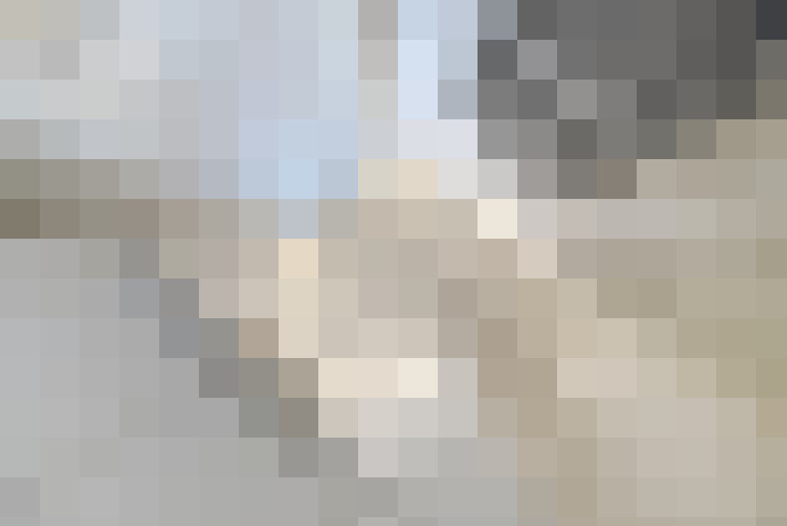  / #15